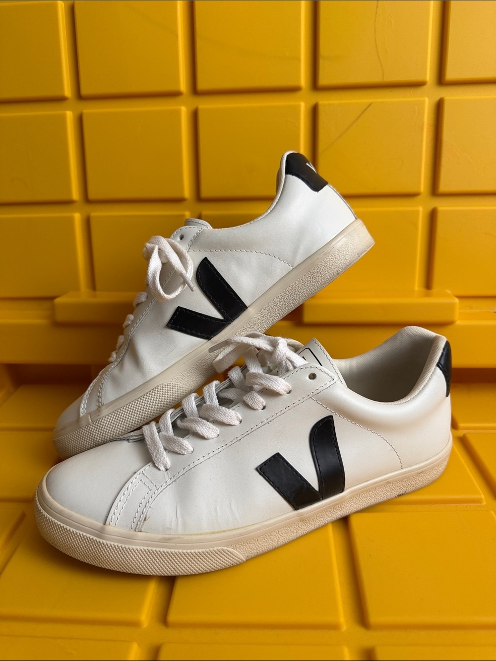 Veja White Sneakers with Black V Logo